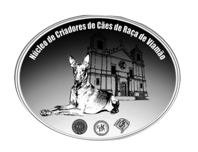 Nucleo-Viamao.png